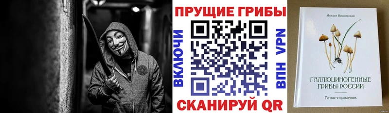 Галлюциногенные грибы Magic Shrooms  Качканар 